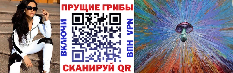 хочу наркоту Переславль-Залесский Галлюциногенные грибы MAGIC MUSHROOMS