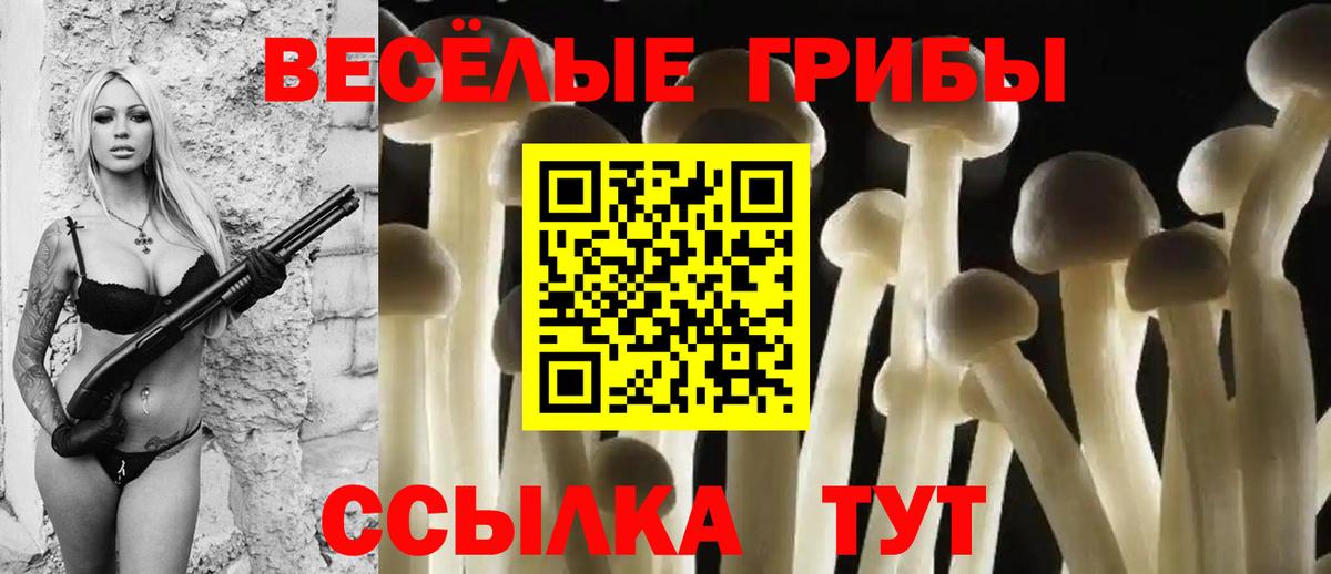 Переславль-Залесский  купить наркоту  Вход с VPN  Псилоцибиновые грибы прущие грибы  Галлюциногенные грибы GOLDEN TEACHER 