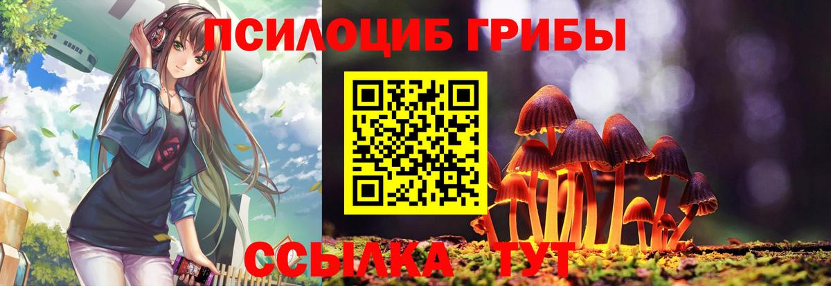 Галлюциногенные грибы Cubensis Переславль-Залесский